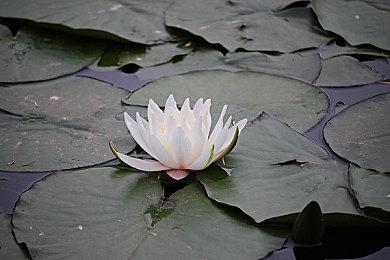 《最终幻想7：重生》新截图和视觉图 新角色及战斗欣赏